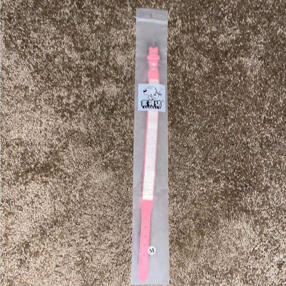 NEW Dog Collar
